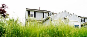 Abandoned house